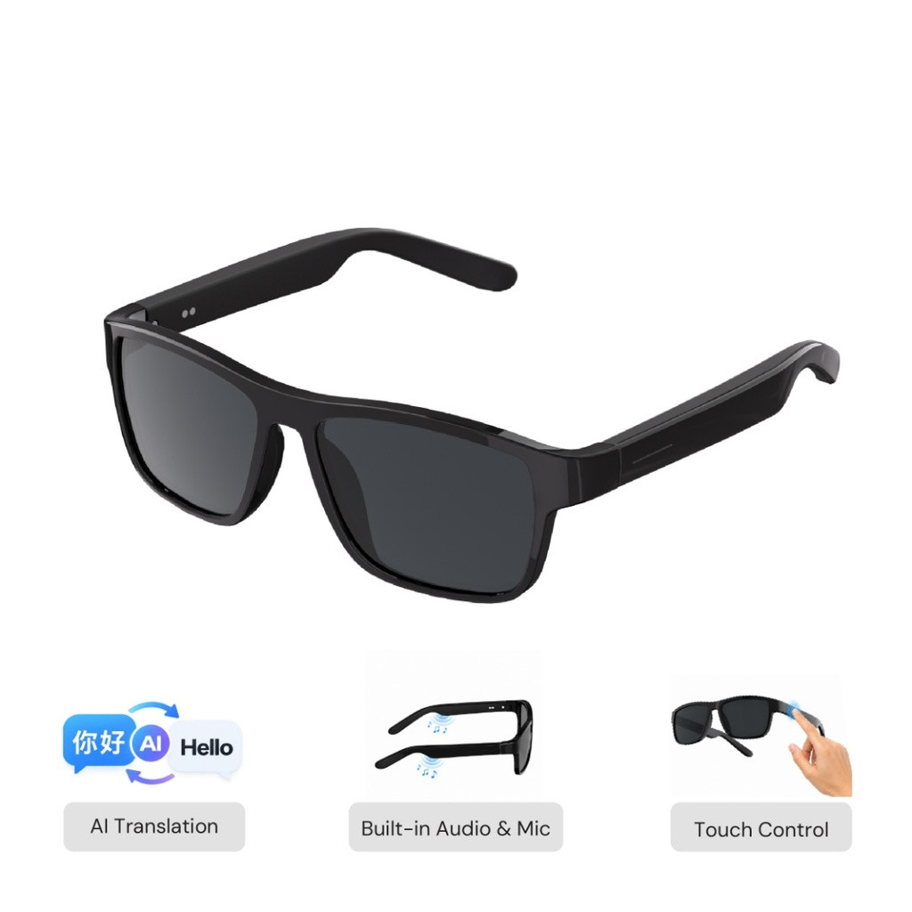 Memorii AI Translation Smart Glass