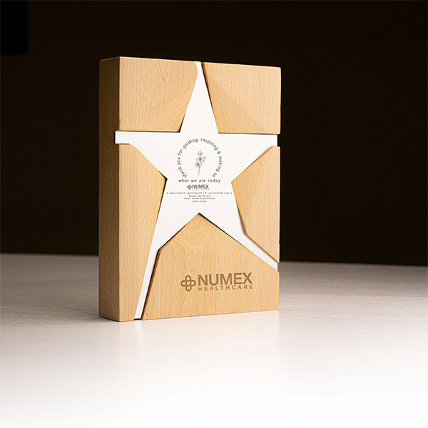 Wooden trophy with metal star