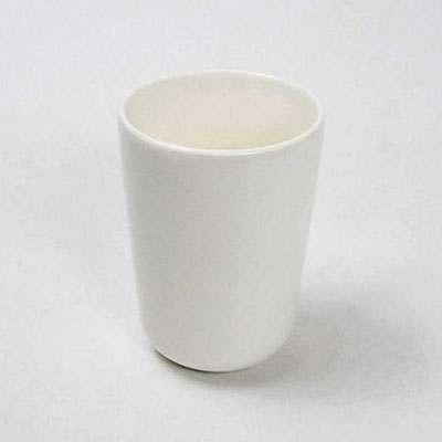 Double Wall Mug